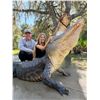 Image 2 : American Alligator Hunt for 2 w/ God’s Country Outfitters (San Mateo, FL)