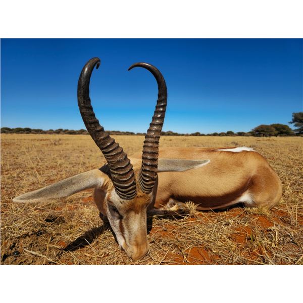 10-Day Plains Game Safari for 2 w/ HartzView Hunting Safaris