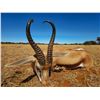 Image 1 : 10-Day Plains Game Safari for 2 w/ HartzView Hunting Safaris