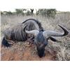 Image 2 : 10-Day Plains Game Safari for 2 w/ HartzView Hunting Safaris