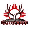 Image 5 : 5-Day, Mountain Lion Hunt w/ Hounds for 2 w/ Bulldog Mesa Outdoors