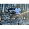 Image 5 : 2026 Mathews ARC™ + 2.5-day, Hunt (Whitetail or Axis) for 1 w/ A-7 Outfitters (Del Rio, TX)