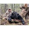 Image 1 : 6-Day, Spring Black Bear Hunt for 1 w/ Rogue Ventures, LTD (Alberta, CA)
