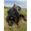 Image 2 : 6-Day, Spring Black Bear Hunt for 1 w/ Rogue Ventures, LTD (Alberta, CA)