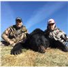 Image 6 : 6-Day, Spring Black Bear Hunt for 1 w/ Rogue Ventures, LTD (Alberta, CA)