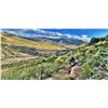 Image 12 : 10-Day, Safari for 2 w/ Braeside Safaris (Eastern Cape, South Africa)