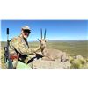 Image 2 : 10-Day, Safari for 2 w/ Braeside Safaris (Eastern Cape, South Africa)