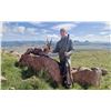 Image 3 : 10-Day, Safari for 2 w/ Braeside Safaris (Eastern Cape, South Africa)