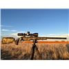 Image 2 : Custom Switch Barrel Rifle Package in .375 Ruger and 7mm PRC from West Texas Ordnance