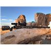 Image 4 : Custom Switch Barrel Rifle Package in .375 Ruger and 7mm PRC from West Texas Ordnance