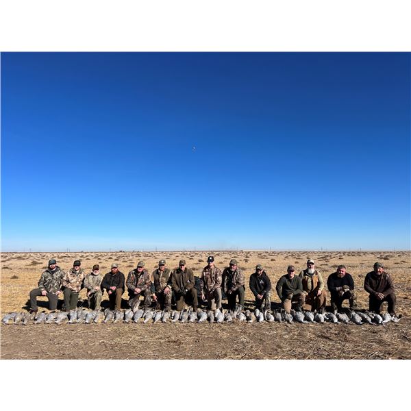 1-Day, Early Season Sandhill Crane Hunt for 15 w/ Tornado Country Outfitters (Texas Panhandle)