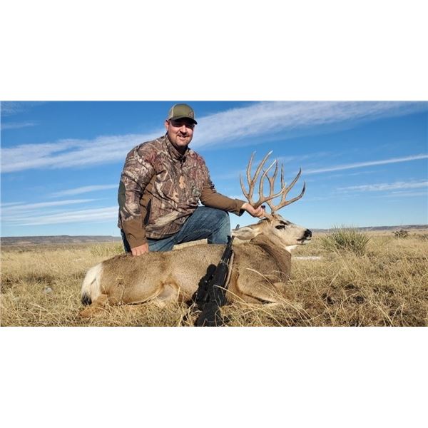 5-Day, Mature Buck and Cow Elk Combo for 2 w/ Bulldog Mesa Outdoors (Mosquero, NM)