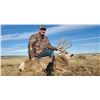 Image 1 : 5-Day, Mature Buck and Cow Elk Combo for 2 w/ Bulldog Mesa Outdoors (Mosquero, NM)
