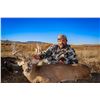 Image 7 : 5-Day, Mature Buck and Cow Elk Combo for 2 w/ Bulldog Mesa Outdoors (Mosquero, NM)