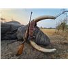 Image 2 : 10-Day, Importable/Exportable Bull Elephant Safari w/ Boschnel Safaris (Zimbabwe)   Kanati Cert