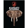 Image 6 : 10-Day, Importable/Exportable Bull Elephant Safari w/ Boschnel Safaris (Zimbabwe)   Kanati Cert