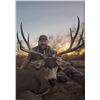 Image 1 : 6-Day, Free Range Mule Deer Hunt for 2 w/ Sonora Desert Hunts (Sonora, Mexico)