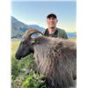 Image 2 : 5-Day, Himalayan Bull Tahr Hunt for 1 w/ Southern Mountain Adventures (New Zealand)