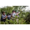 Image 6 : High Volume Dove Hunt for 4 w/ Pointer Outfitters (Argentina)