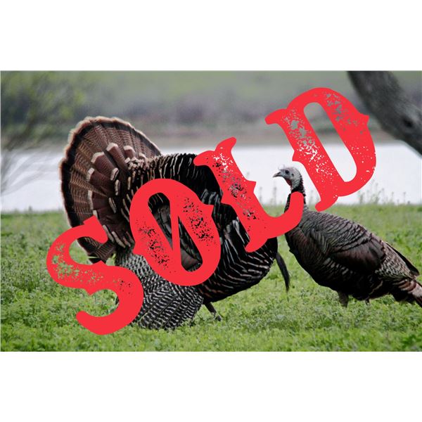 SOLD - Turkey Hunt for 1 w/ Prairie Bomb Outfitters (Pampa, TX)