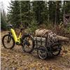 Image 4 : BIKTRIX ELECTRIC BIKES: Saskatoon Sask.