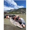 Image 1 : RIVER MONSTER ADVENTURES: Lillooet, British Columbia