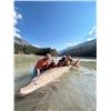 Image 5 : RIVER MONSTER ADVENTURES: Lillooet, British Columbia