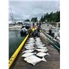 Image 11 : TIDAL CHARTERS: Port Hardy, British Columbia