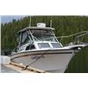 Image 6 : TIDAL CHARTERS: Port Hardy, British Columbia