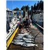Image 7 : TIDAL CHARTERS: Port Hardy, British Columbia