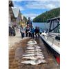 Image 8 : TIDAL CHARTERS: Port Hardy, British Columbia