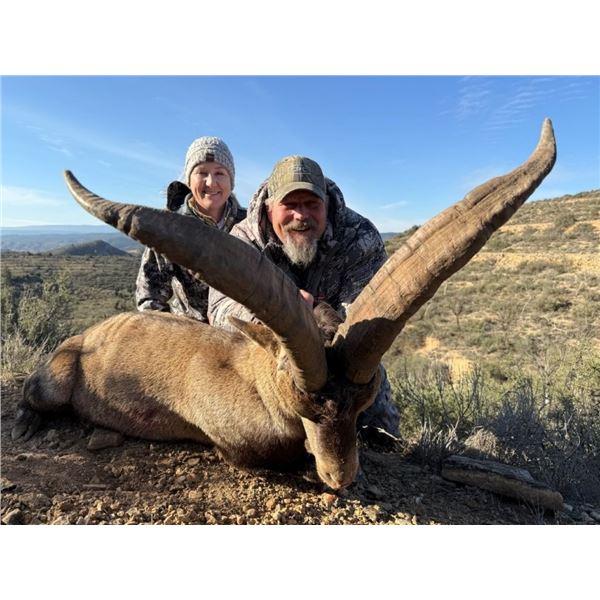 WILD HUNTING SPAIN: Barcelona, Spain