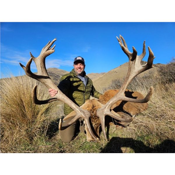 NEW ZEALAND HORN & ANTLER SAFARIS: Christchurch, New Zealand