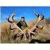 Image 1 : NEW ZEALAND HORN & ANTLER SAFARIS: Christchurch, New Zealand