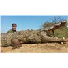 Image 1 : Watts Trophy Hunting: Limpopo province South Africa