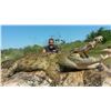 Image 3 : Watts Trophy Hunting: Limpopo province South Africa