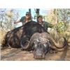 Image 6 : Watts Trophy Hunting: Limpopo province South Africa