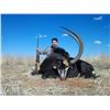 Image 7 : Watts Trophy Hunting: Limpopo province South Africa