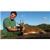 Image 8 : Watts Trophy Hunting: Limpopo province South Africa