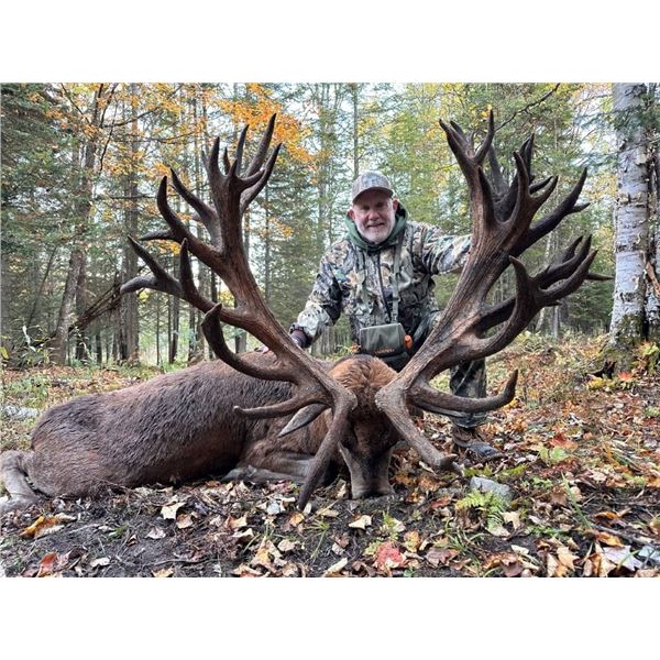 APPALACHIAN WILDERNESS: Quebec, Canada
