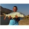 Image 12 : JW AFRICAN OUTFITTERS: North West Province South Africa?GALAMUKA ADVENTURES ZAMBIA: Zambia