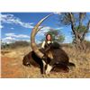 Image 14 : JW AFRICAN OUTFITTERS: North West Province South Africa?GALAMUKA ADVENTURES ZAMBIA: Zambia