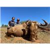 Image 15 : JW AFRICAN OUTFITTERS: North West Province South Africa?GALAMUKA ADVENTURES ZAMBIA: Zambia