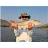 Image 16 : JW AFRICAN OUTFITTERS: North West Province South Africa?GALAMUKA ADVENTURES ZAMBIA: Zambia