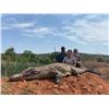 Image 18 : JW AFRICAN OUTFITTERS: North West Province South Africa?GALAMUKA ADVENTURES ZAMBIA: Zambia
