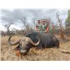 Image 1 : JW AFRICAN OUTFITTERS: North West Province South Africa?GALAMUKA ADVENTURES ZAMBIA: Zambia