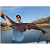 Image 22 : JW AFRICAN OUTFITTERS: North West Province South Africa?GALAMUKA ADVENTURES ZAMBIA: Zambia