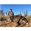 Image 2 : JW AFRICAN OUTFITTERS: North West Province South Africa?GALAMUKA ADVENTURES ZAMBIA: Zambia