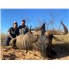 Image 6 : JW AFRICAN OUTFITTERS: North West Province South Africa?GALAMUKA ADVENTURES ZAMBIA: Zambia