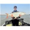 Image 9 : JW AFRICAN OUTFITTERS: North West Province South Africa?GALAMUKA ADVENTURES ZAMBIA: Zambia